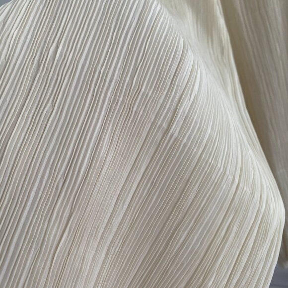 St. Agni Pleated Pants in Ivory, size XL - Picture 8 of 8